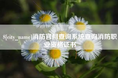 樟树消防官网查询系统查询消防职业资格证书