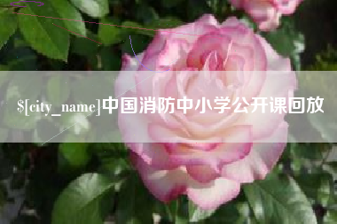 樟树中国消防中小学公开课回放