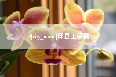 樟树邱县王子磊