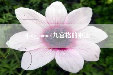 樟树九宫格的来源