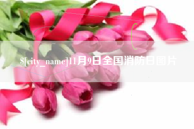 樟树11月9日全国消防日图片