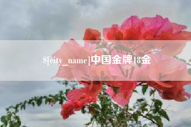 樟树中国金牌18金