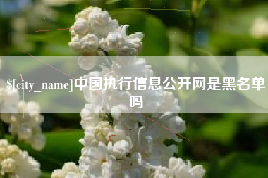 樟树中国执行信息公开网是黑名单吗