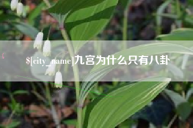 樟树九宫为什么只有八卦