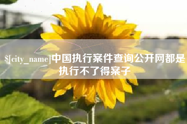 樟树中国执行案件查询公开网都是执行不了得案子