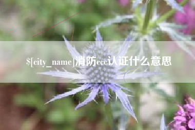樟树消防ccc认证什么意思