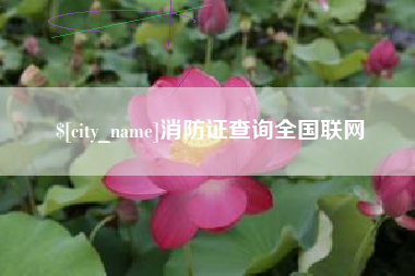 樟树消防证查询全国联网