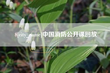 樟树中国消防公开课回放