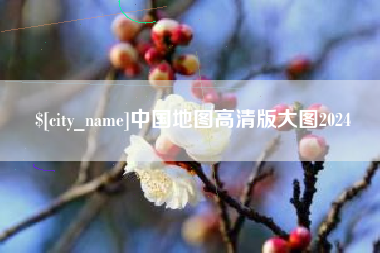 樟树中国地图高清版大图2024