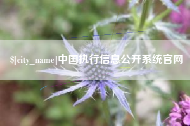 樟树中国执行信息公开系统官网