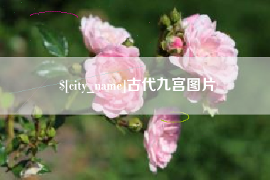 樟树古代九宫图片