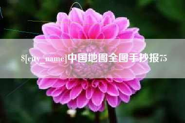 樟树中国地图全图手抄报75