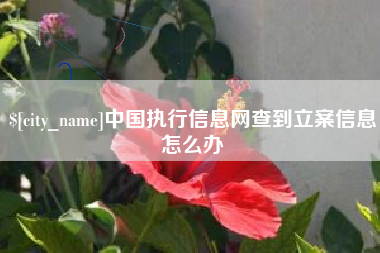 樟树中国执行信息网查到立案信息怎么办