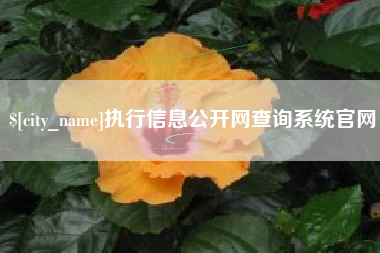 樟树执行信息公开网查询系统官网