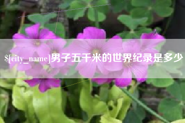 樟树男子五千米的世界纪录是多少