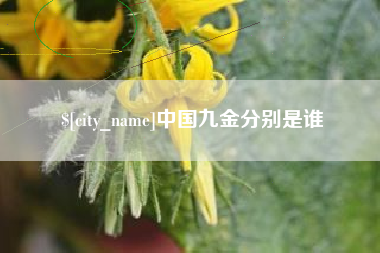 樟树中国九金分别是谁