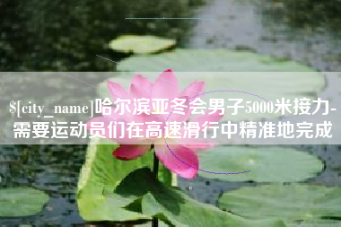 樟树哈尔滨亚冬会男子5000米接力-需要运动员们在高速滑行中精准地完成