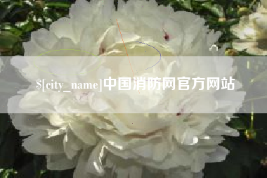 樟树中国消防网官方网站