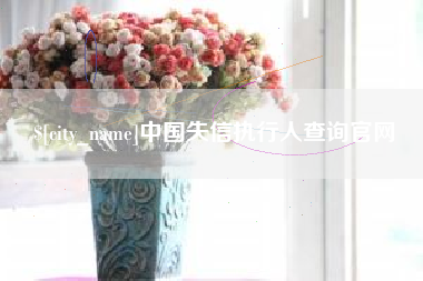 樟树中国失信执行人查询官网
