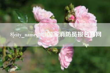 樟树2021国家消防员报名官网