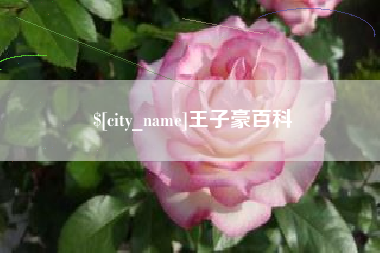 樟树王子豪百科