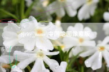 樟树中国地图像素版