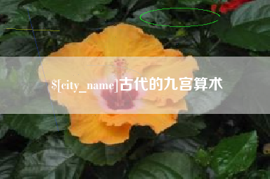 樟树古代的九宫算术