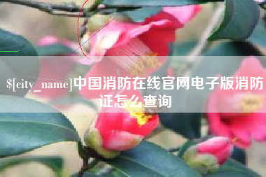樟树中国消防在线官网电子版消防证怎么查询