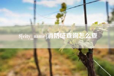 樟树消防证查询怎么查