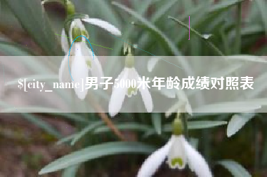 樟树男子5000米年龄成绩对照表