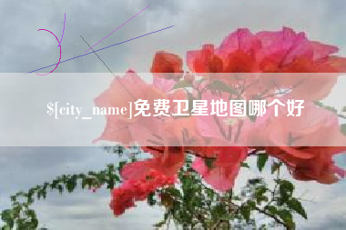 樟树免费卫星地图哪个好