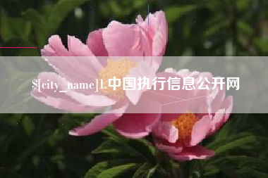 樟树1.中国执行信息公开网
