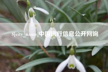 樟树中国执行信息公开网询