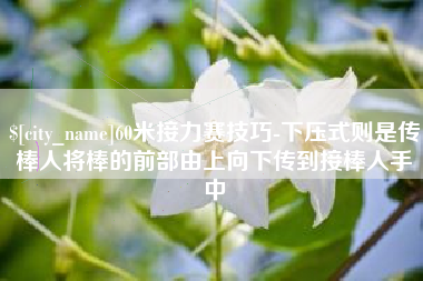 樟树60米接力赛技巧-下压式则是传棒人将棒的前部由上向下传到接棒人手中