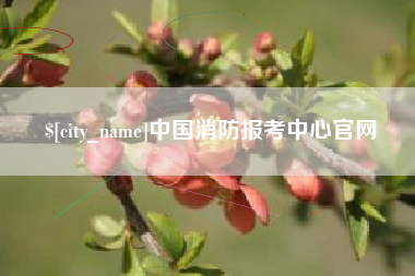 樟树中国消防报考中心官网