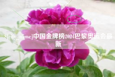 樟树中国金牌榜2024巴黎奥运会最新