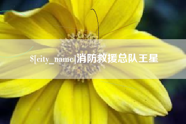 樟树消防救援总队王星