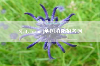 樟树全国消防招考网