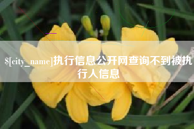 樟树执行信息公开网查询不到被执行人信息