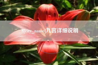 樟树九宫详细说明