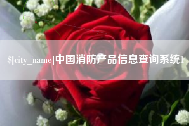 樟树中国消防产品信息查询系统1