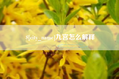 樟树九宫怎么解释