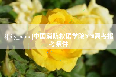樟树中国消防救援学院2020高考报考条件