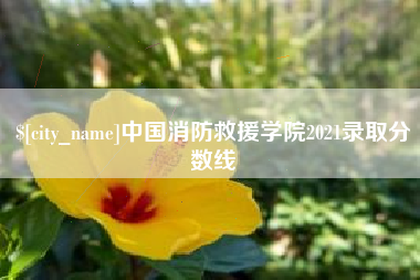 樟树中国消防救援学院2021录取分数线