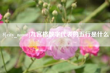 樟树九宫格数字代表的五行是什么