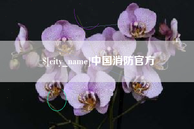 樟树中国消防官方