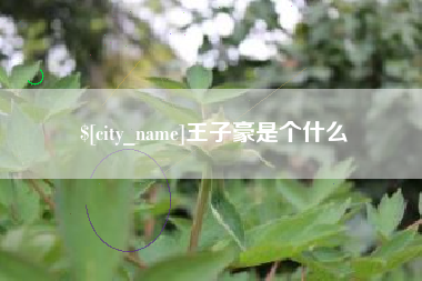 樟树王子豪是个什么