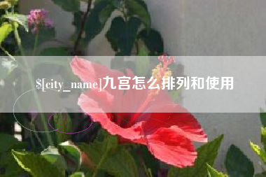 樟树九宫怎么排列和使用