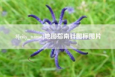 樟树地图指南针图标图片