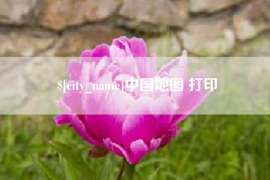 樟树中国地图 打印
